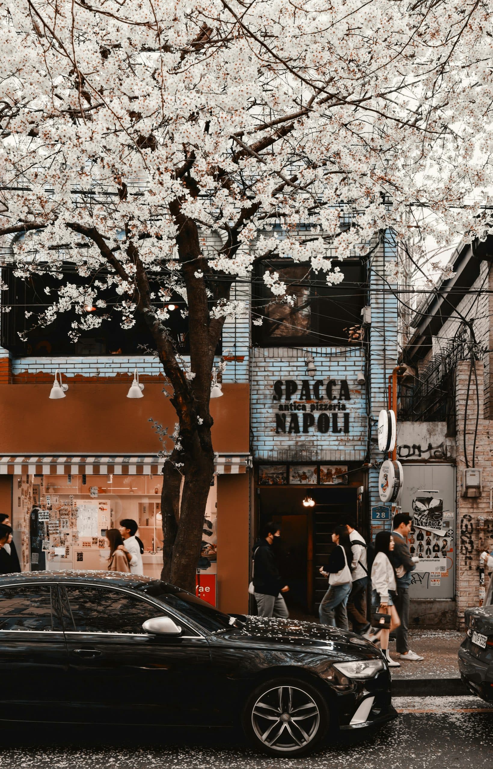 How to Use Kiosk Sales Data to Build a Better Spring Menu